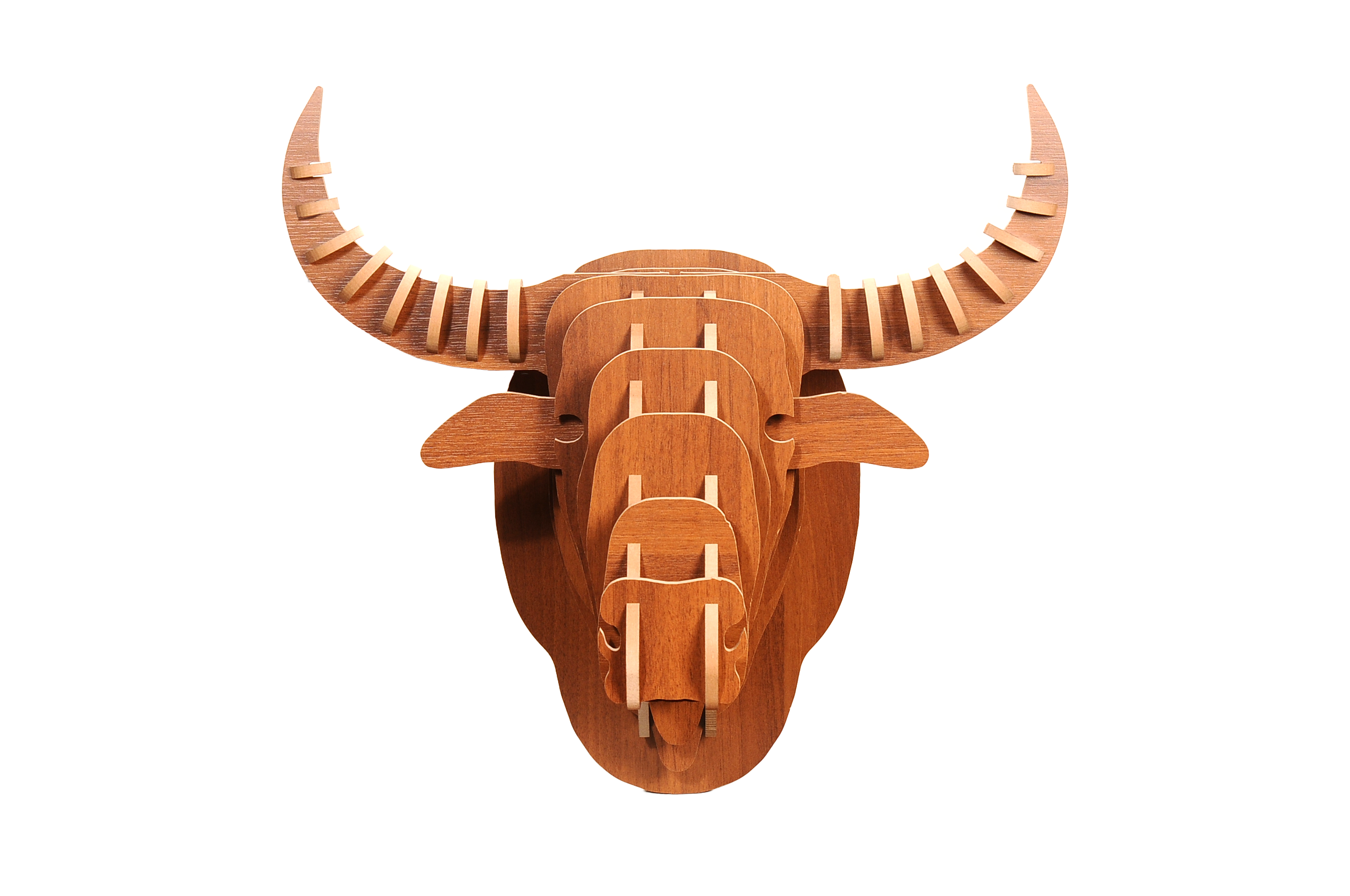 Bulls