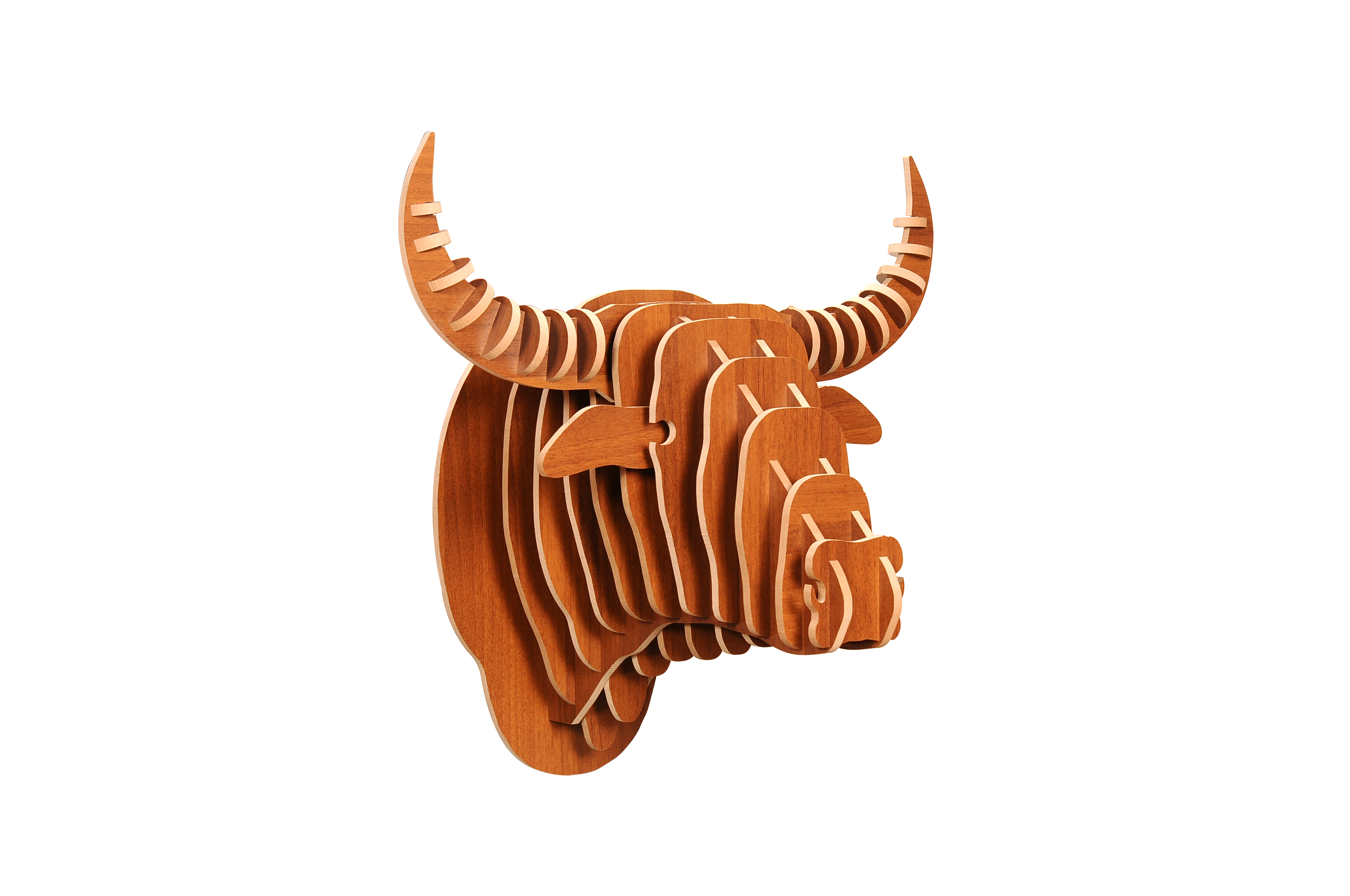 Bull