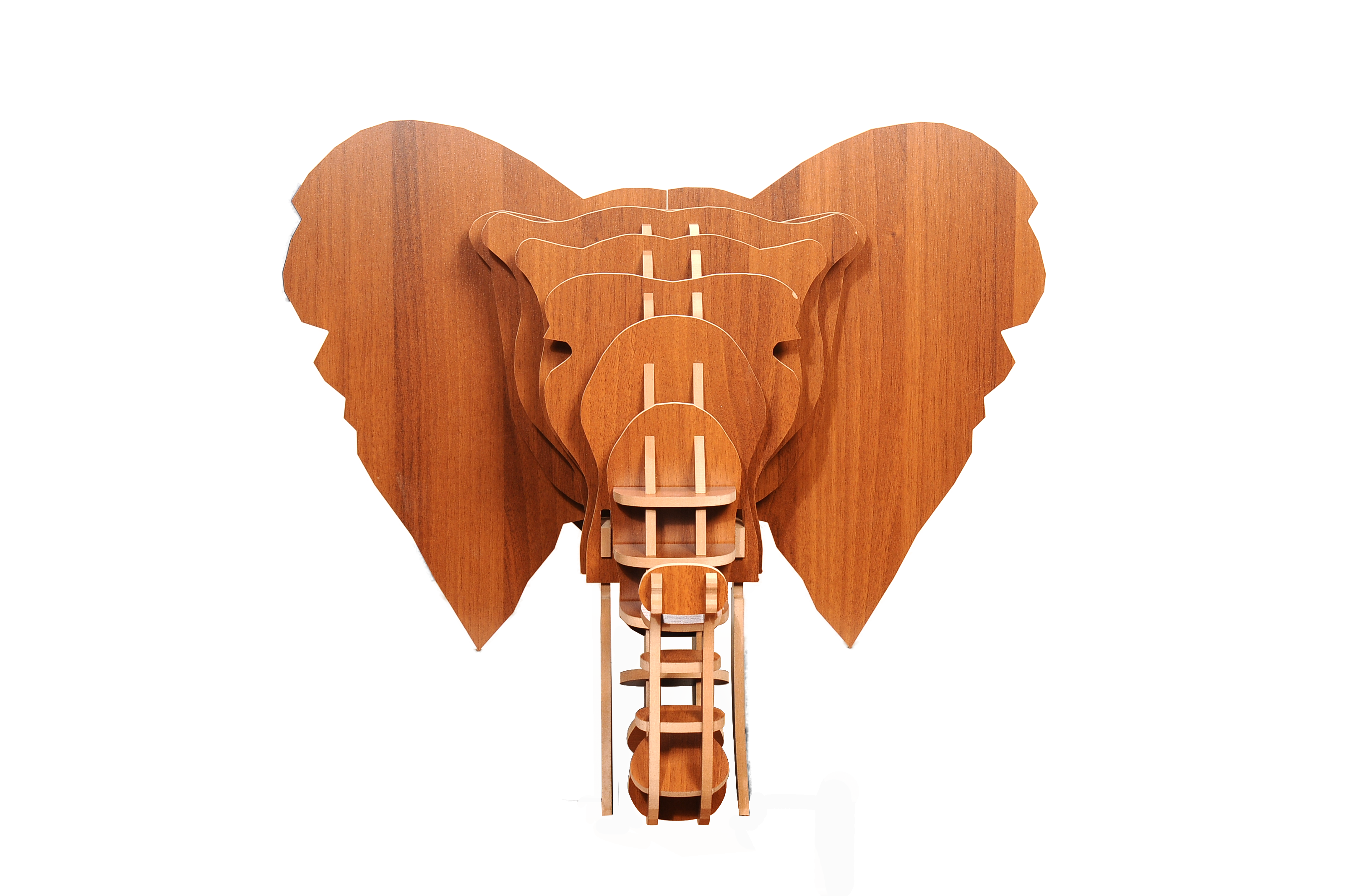 Elephants