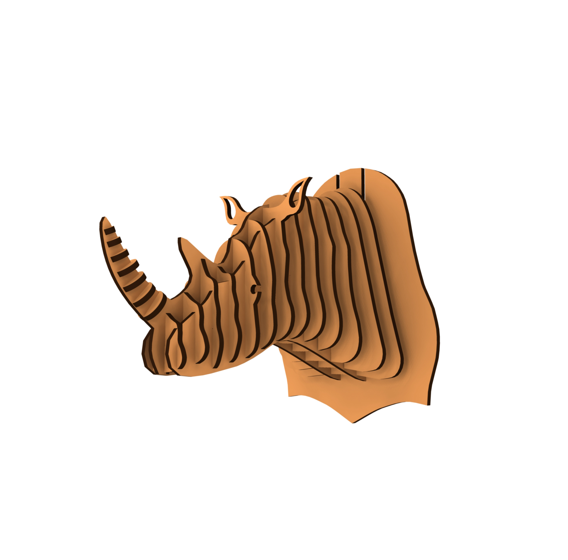 Rhinos